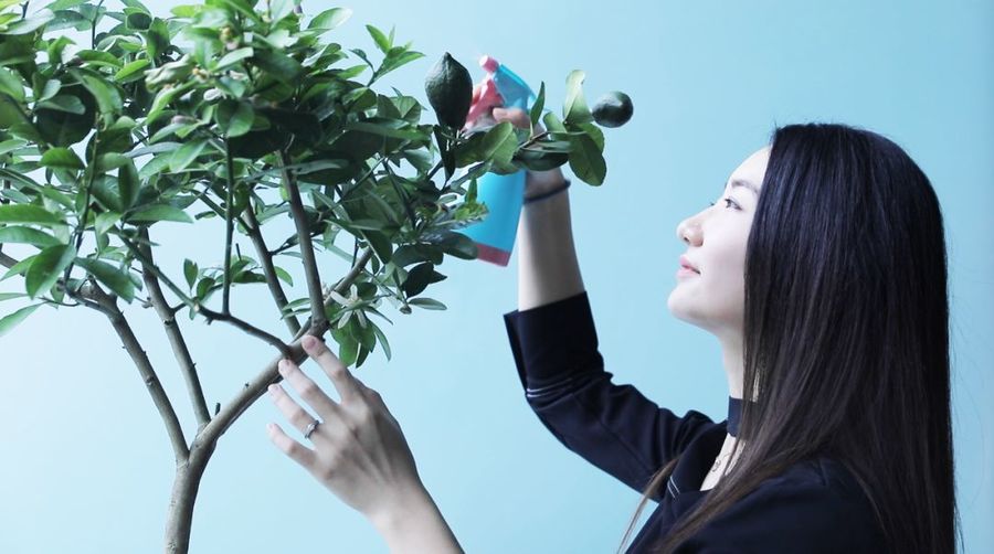 设计案例