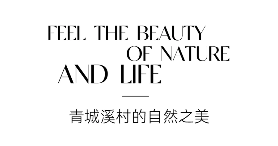 售樓處