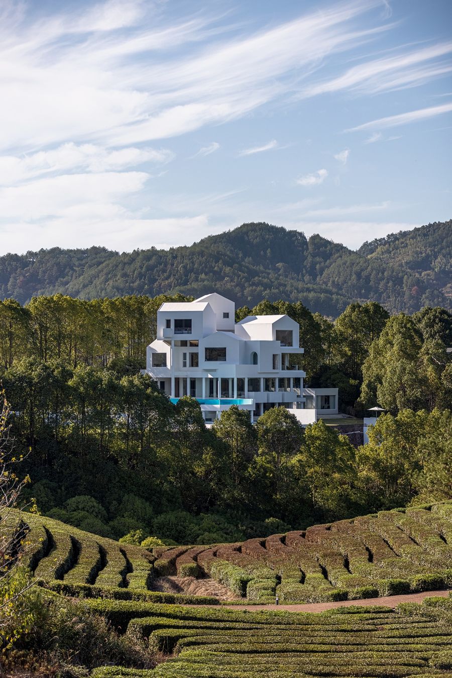 時上建筑 沈墨  | 大山里的極簡樹窩 