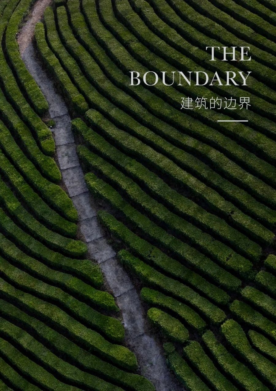 時上建筑 沈墨  | 大山里的極簡樹窩 