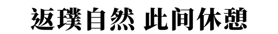 唐忠汉 | 453㎡栖居之所，隐匿于都市