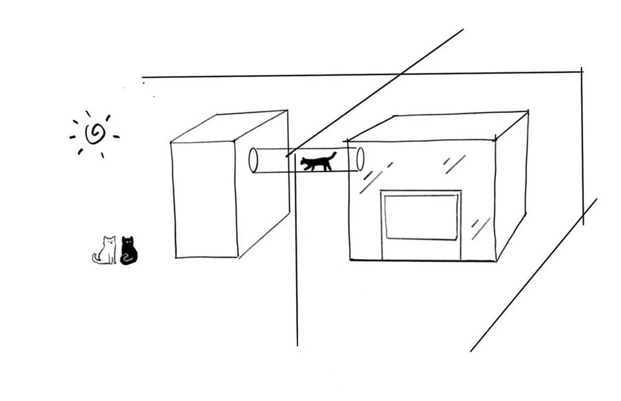 费弗空间设计 | 无痕式养猫