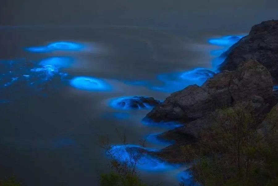 售樓處