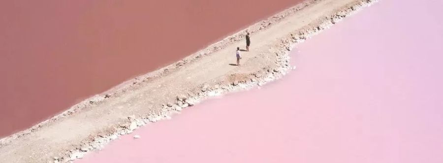 海力作品 | 粉红时尚- 融创·春风十里小户型样板间