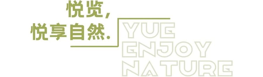 售樓處