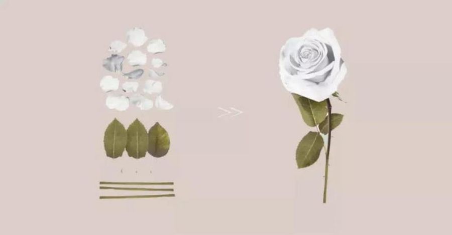 追尋美好生活本源 | 售樓處設計