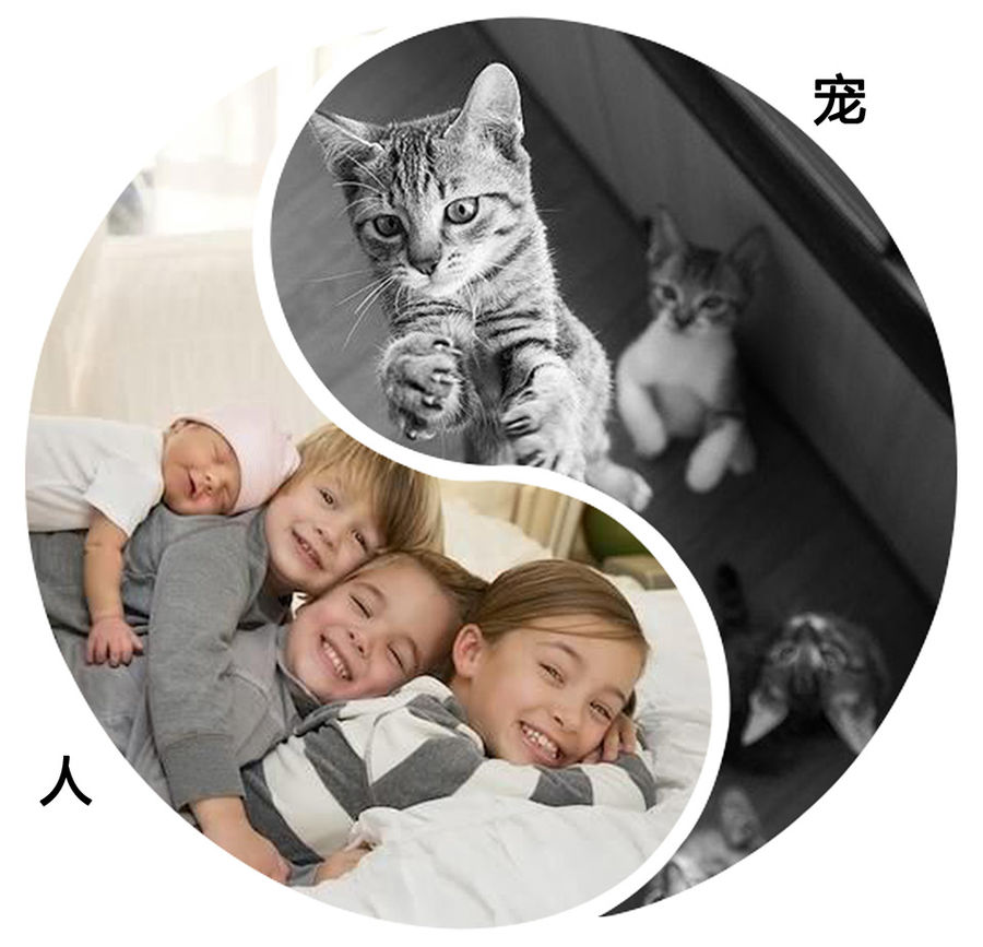 设计案例