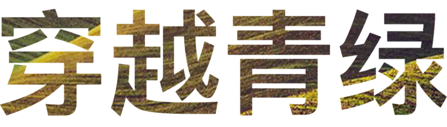 設計案例