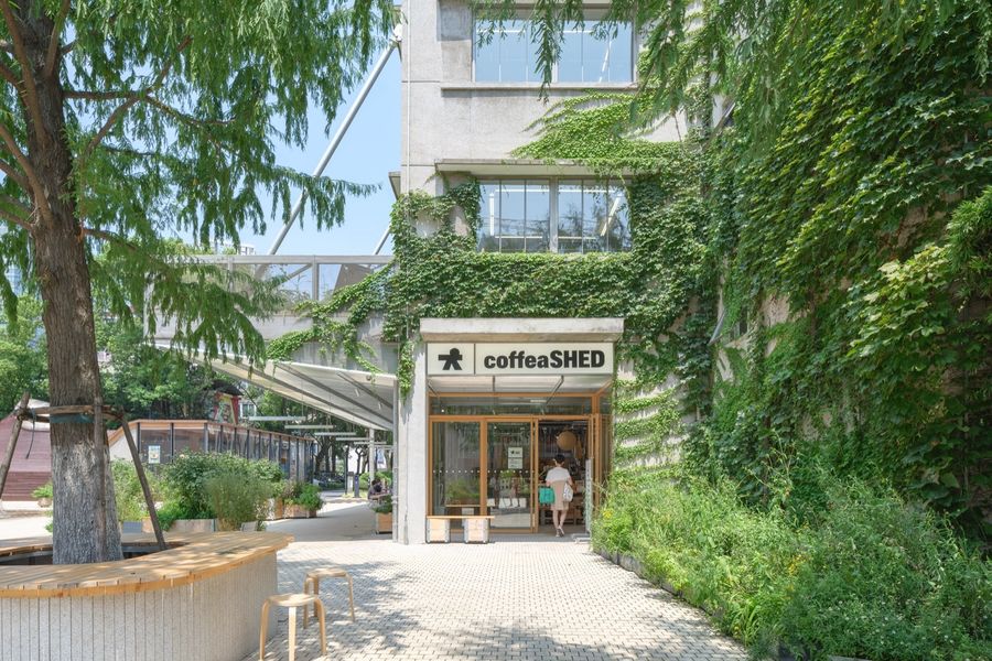 小大建筑设计事务所丨上海coffea SHED上生新所店