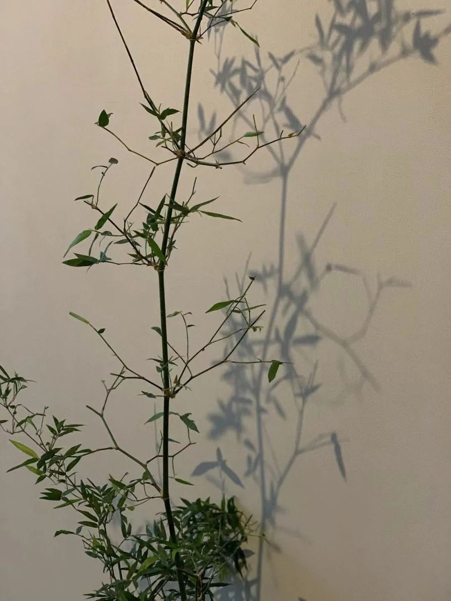扮家家室內設計網