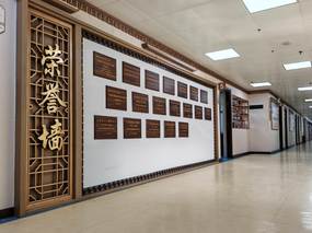 医院文化氛围设计〖梅奥艺术〗湘西州民族中医院文化墙设计案例