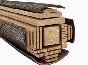 材料了解：木材、板材（下）——《装修装饰 材料字典②》