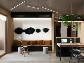 【国外作品】办公室与公寓混合空间 | Olga Fradina