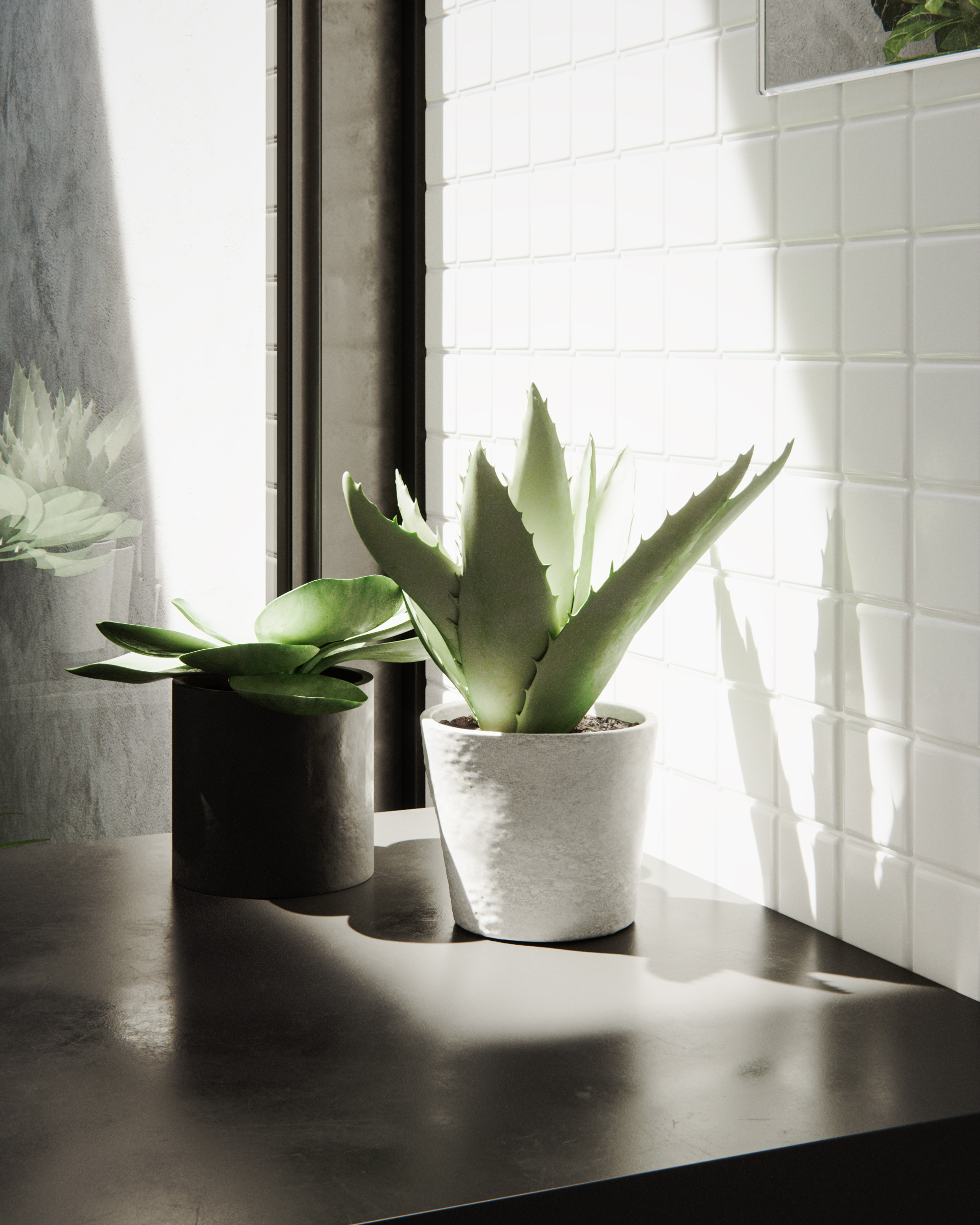 CGI-plant bathroom