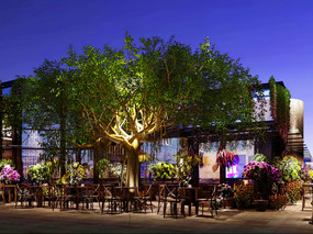 榕树下餐厅设计