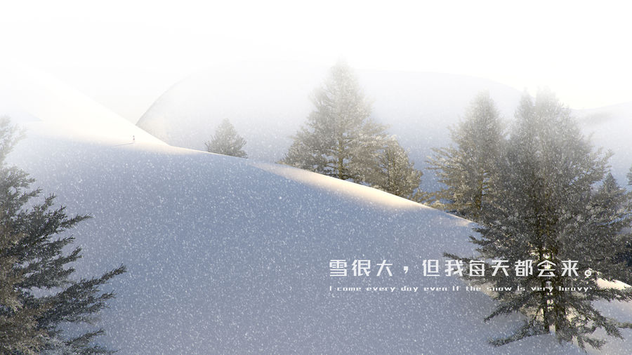 我在冬雪里，等你