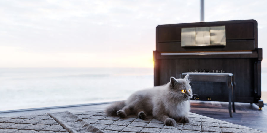 House by the sea 丨 海邊的房子  