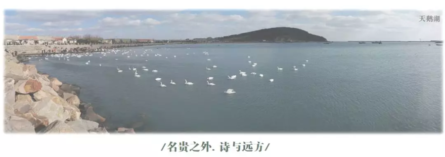 扮家家室內設計網
