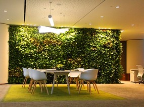 绿植在办公室及写字楼中起到了什么作用？