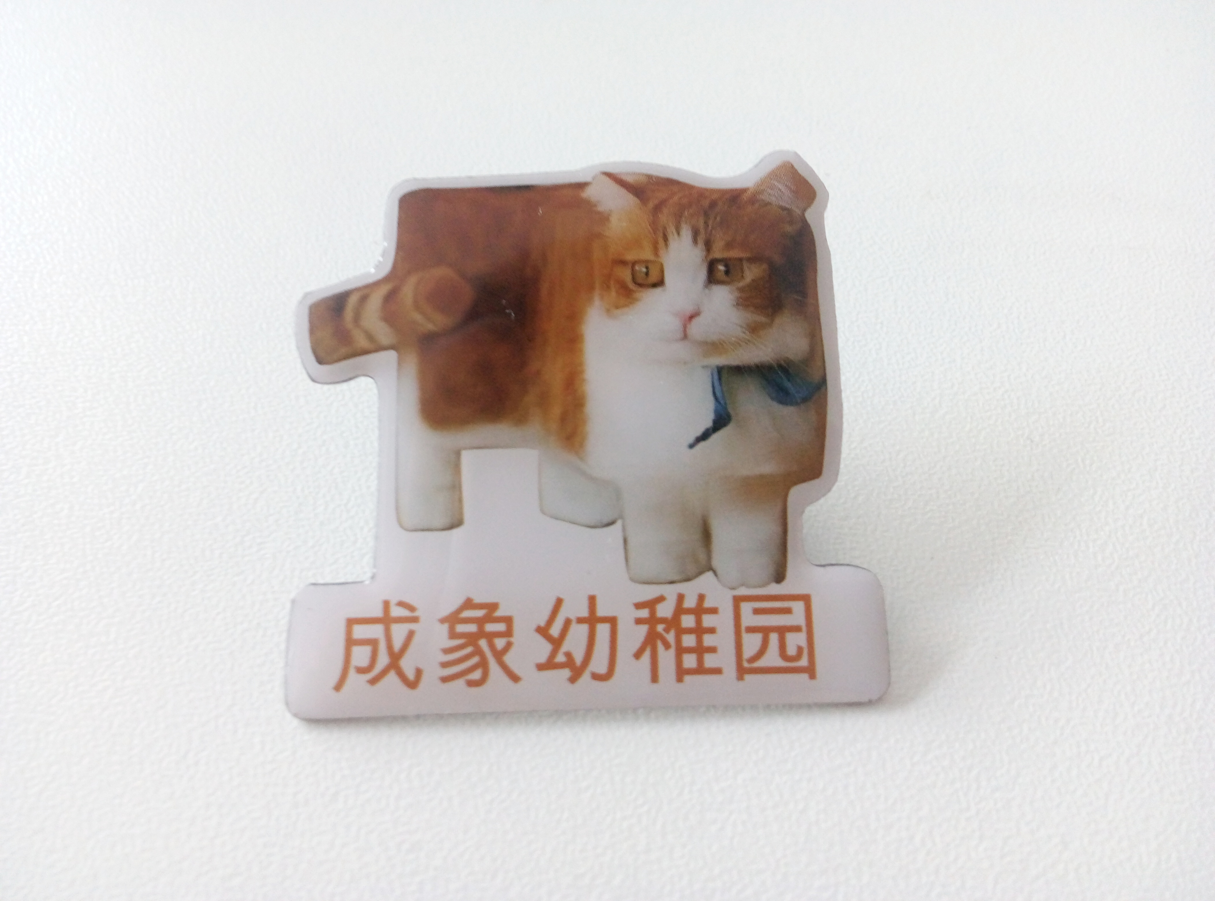 【蒙汉岳】一只猫的理想主义