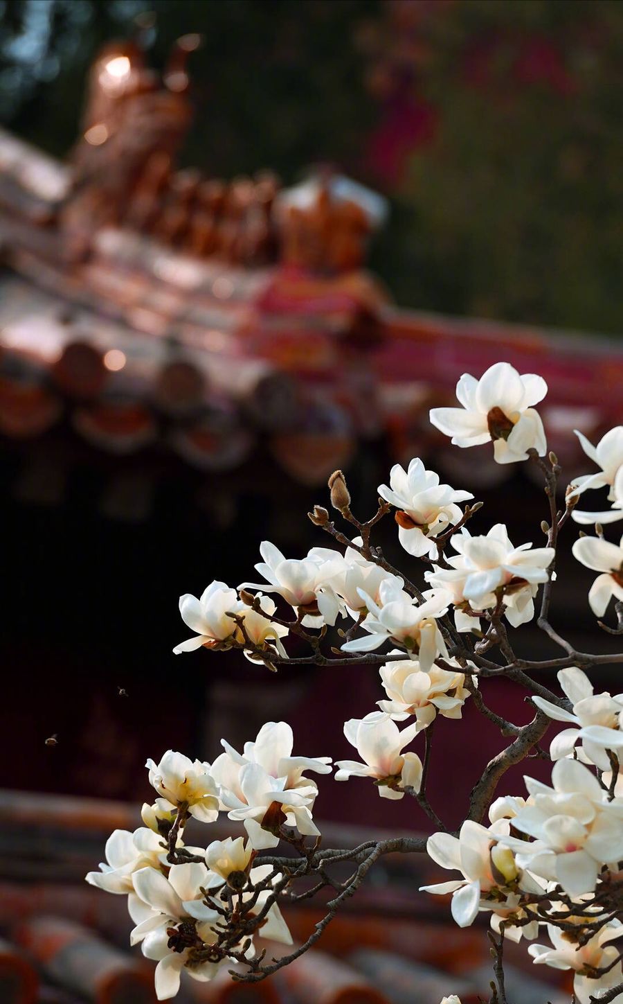 寫(xiě)實(shí)渲染