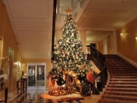 全球奢华酒店圣诞树巡礼 你想住在哪家？