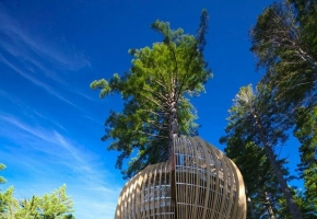 树灯笼餐厅 | YELLOW TREEHOUSE RESTAURANT