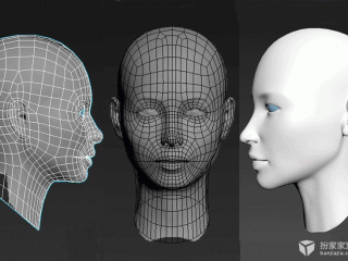 小伟老师-3D异形建模图文合辑