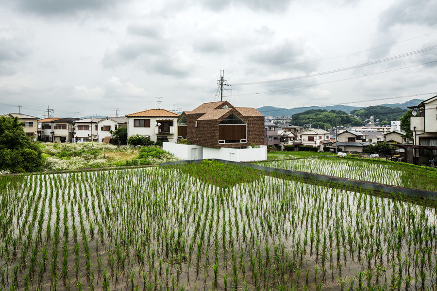 柱座住宅，日本 / y+M design office