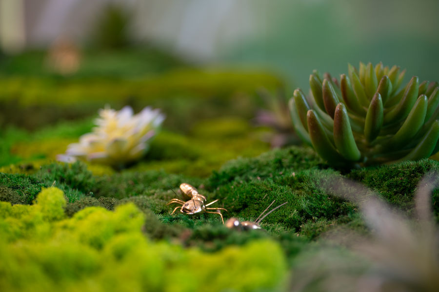 售樓處