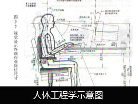 【积分商城产品介绍】人体工程学示意图