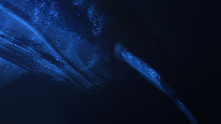 近期3Dmax個人作品合集——spallation