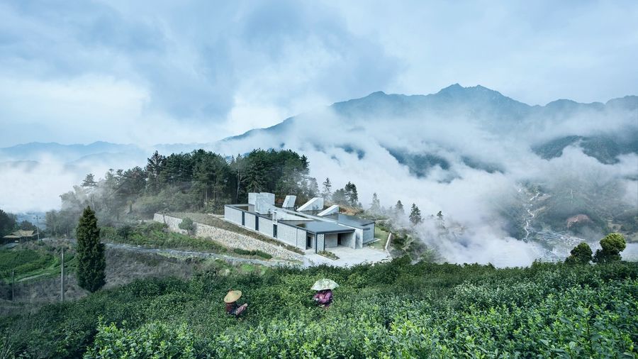 DnA｜中國麗水｜惠明茶工坊