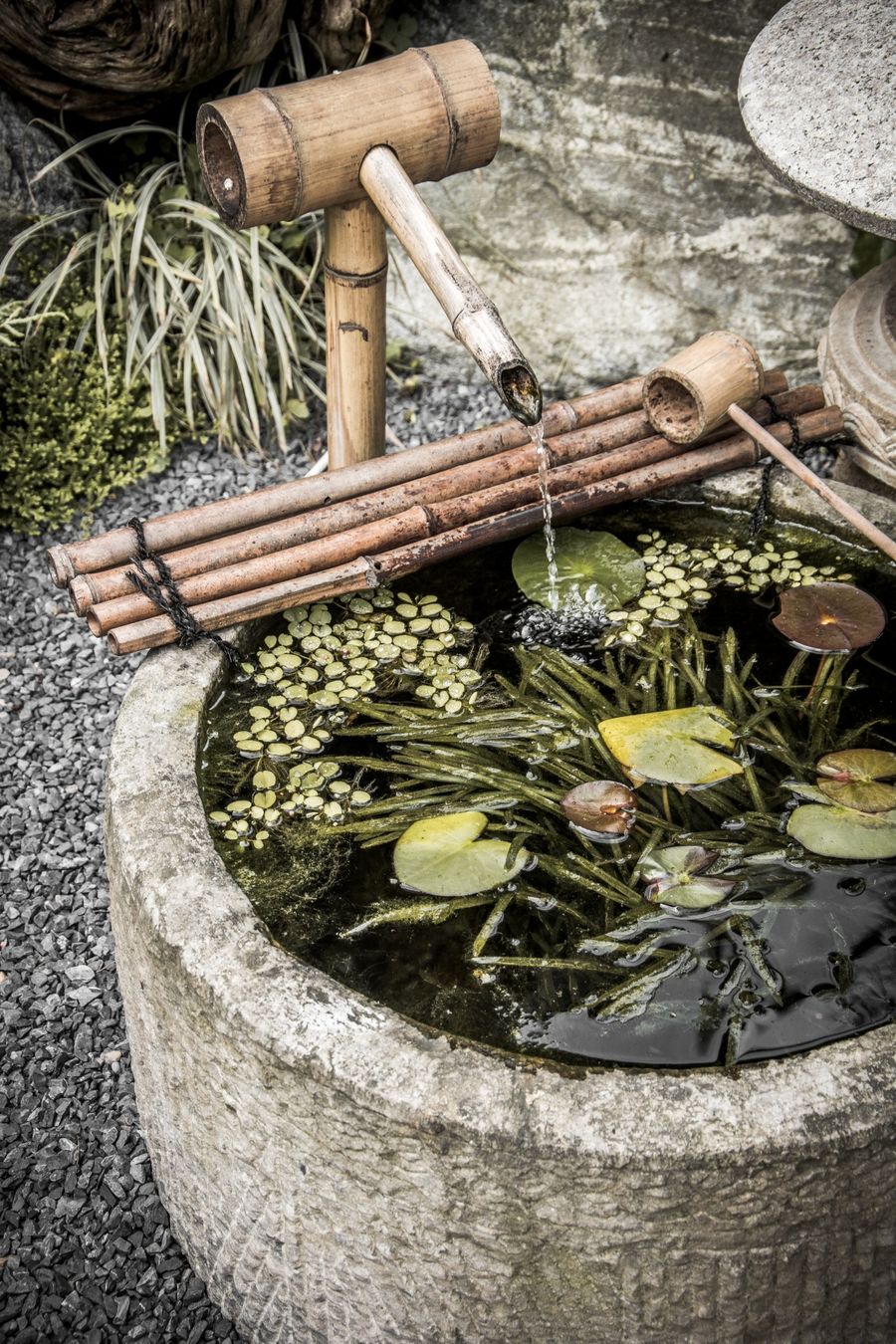 清水溪细节