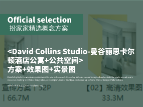 《David Collins Studio-曼谷丽思卡尔顿酒店公寓+公共空间》方案+效果图+实景图