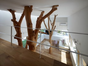 寄托感情的树屋——Hironaka Ogawa & Associates