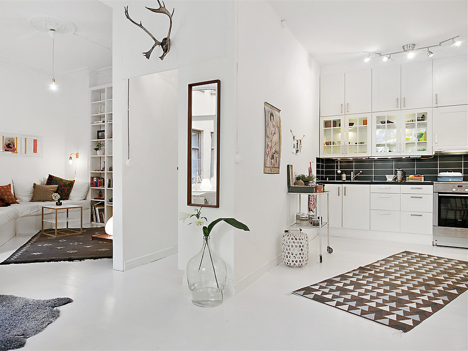 瑞典纳维亚风格的一室公寓，梦寐以求的住宅
