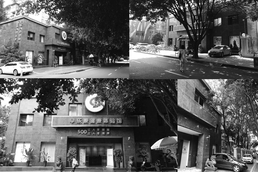 將藝術融入經營的實驗餐廳|H&Z SPACE