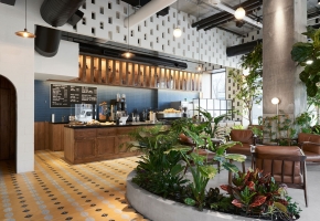 DEVOCION咖啡店 | 城市中的绿色丛林