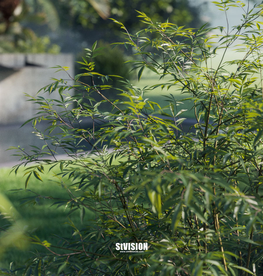 【斯特】 植被制作與3D渲染
