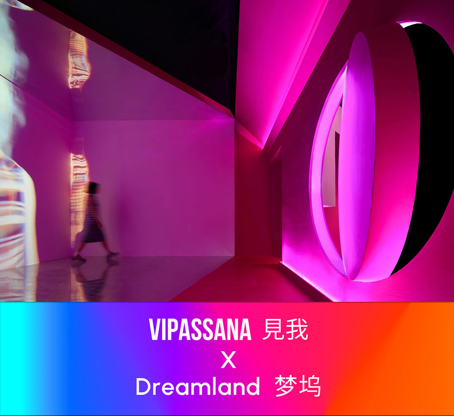 NERVE 若無｜VIPASSANA 見我