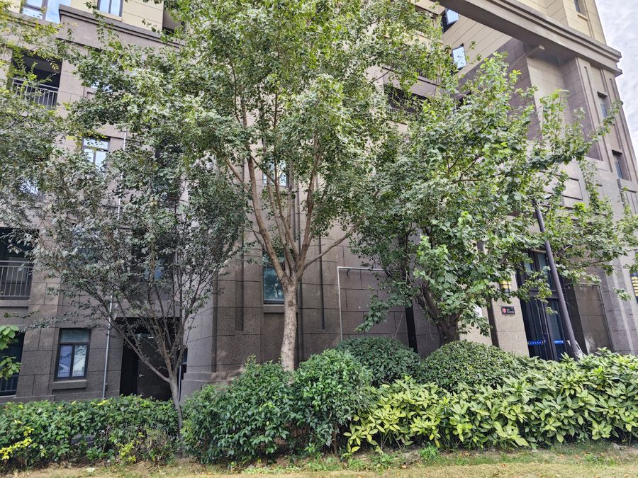 騰升裝飾|鄭州東潤城·璟園住宅樓石材幕墻施工工程03