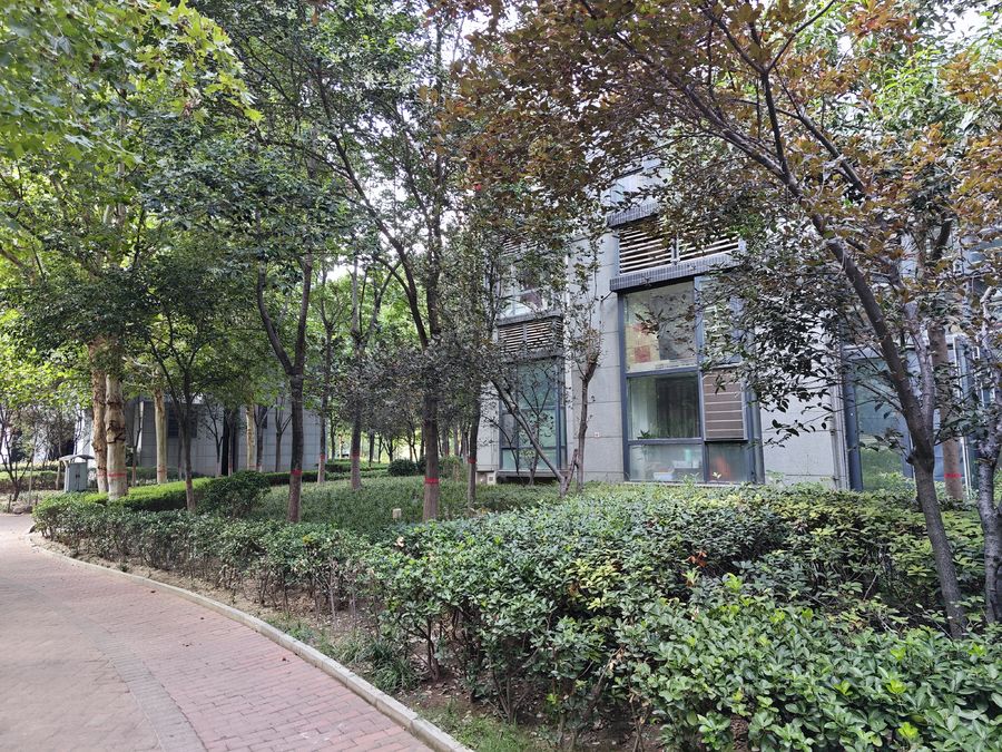 住宅樓外墻施工