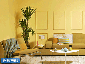 客厅色彩搭配 | 用墙面颜色定义风格