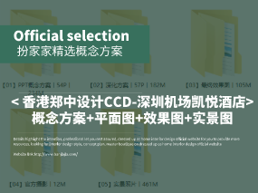 《香港郑中设计CCD-深圳机场凯悦酒店》概念方案+平面图+效果图+实景图 PDF+JPG+PPT