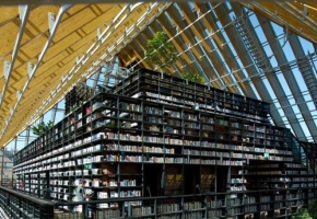 荷兰Spijkenisse书山图书馆 | 源于荷兰传统的农场造型，给人非常深刻的印象