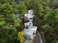 日本Yonago，自由灵动的布局很好地融入了树林。
