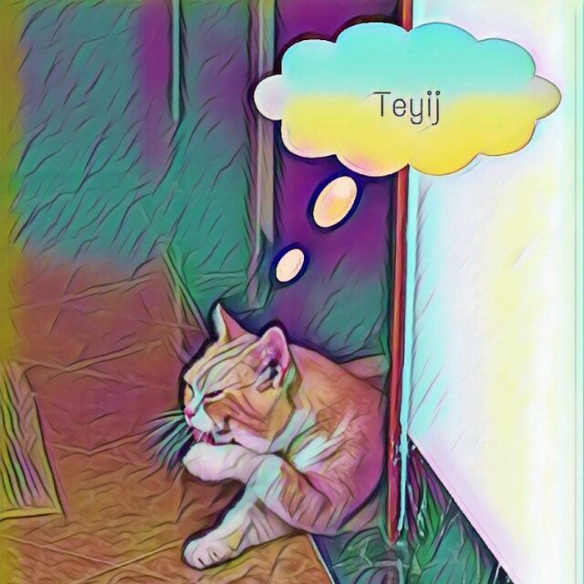 TeyiJ